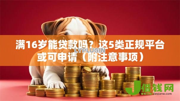 满16岁能贷款吗?这5类正规平台或可申请(附注意事项) 满16岁能贷款吗?这5类正规平台或可申请(附注意事项)