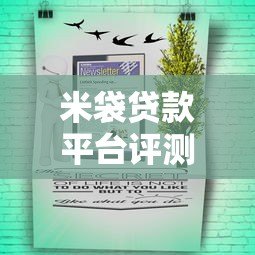 米袋贷款平台评测:快速放款、低息贷款攻略全解析 米袋贷款平台评测:快速放款、低息贷款攻略全解析