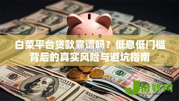 白菜平台贷款靠谱吗？低息低门槛背后的真实风险与避坑指南