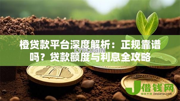 橙贷款平台深度解析:正规靠谱吗?贷款额度与利息全攻略 橙贷款平台深度解析:正规靠谱吗?贷款额度与利息全攻略
