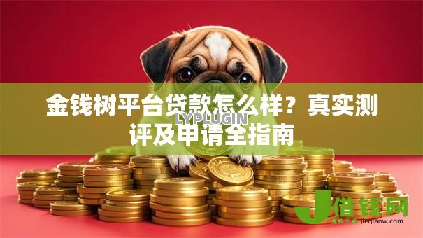 金钱树平台贷款怎么样？真实测评及申请全指南