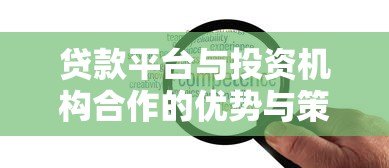 贷款平台与投资机构合作的优势与策略分析