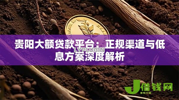 贵阳大额贷款平台：正规渠道与低息方案深度解析