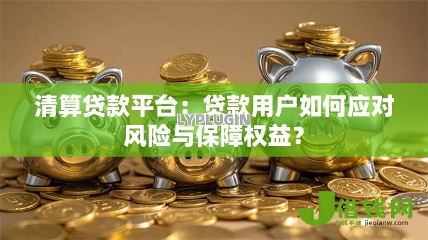 清算贷款平台：贷款用户如何应对风险与保障权益？