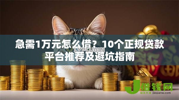 急需1万元怎么借？10个正规贷款平台推荐及避坑指南