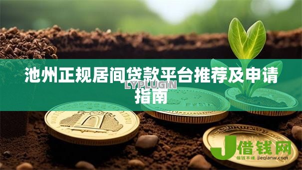 池州正规居间贷款平台推荐及申请指南
