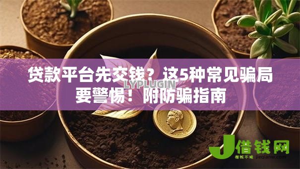 贷款平台先交钱?这5种常见骗局要警惕!附防骗指南 贷款平台先交钱?这5种常见骗局要警惕!附防骗指南
