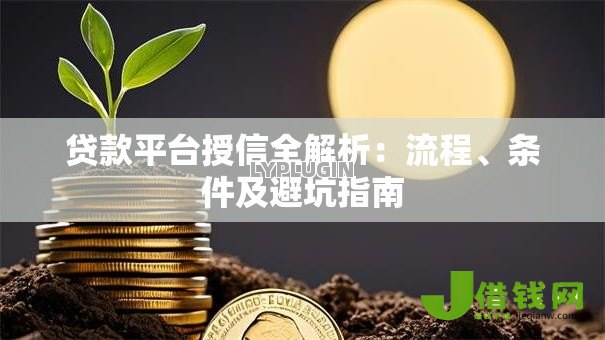 贷款平台授信全解析：流程、条件及避坑指南