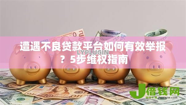遭遇不良贷款平台如何有效举报?5步维权指南 遭遇不良贷款平台如何有效举报?5步维权指南