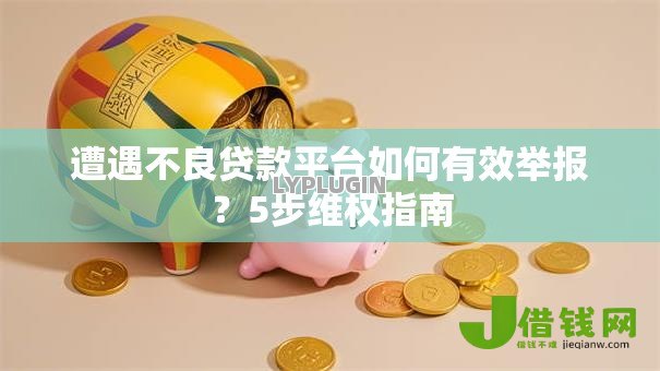 遭遇不良贷款平台如何有效举报?5步维权指南 遭遇不良贷款平台如何有效举报?5步维权指南