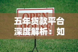 五年贷款平台深度解析：如何选择最合适的借款渠道