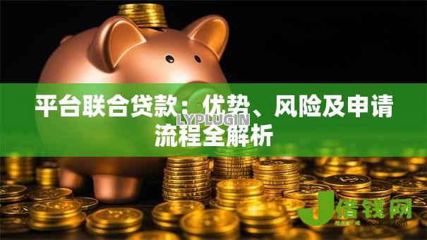 平台联合贷款:优势、风险及申请流程全解析 平台联合贷款:优势、风险及申请流程全解析