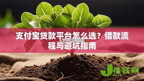 支付宝贷款平台怎么选？借款流程与避坑指南