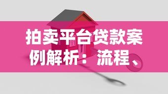 拍卖平台贷款案例解析:流程、风险与成功经验 拍卖平台贷款案例解析:流程、风险与成功经验