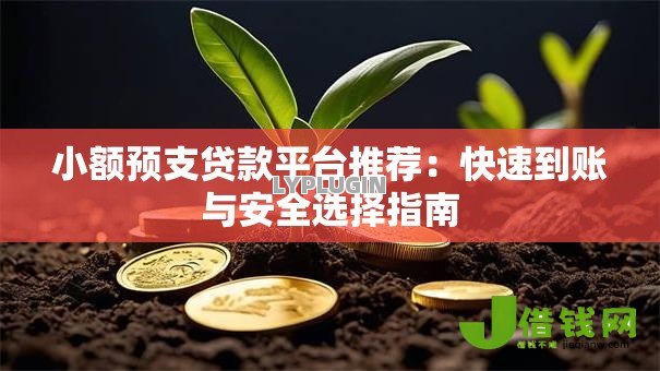 小额预支贷款平台推荐：快速到账与安全选择指南