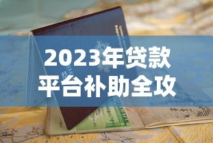 2023年贷款平台补助全攻略：申请技巧与避坑指南