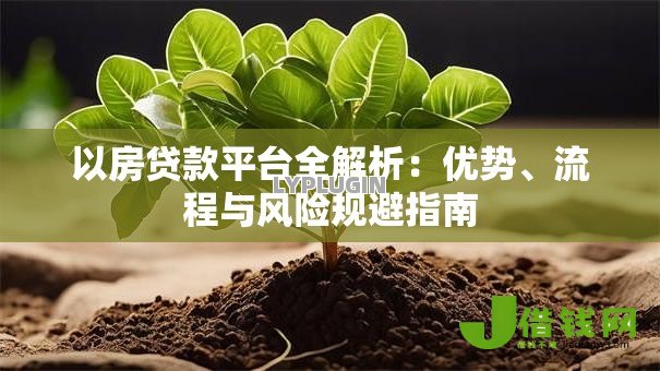 以房贷款平台全解析：优势、流程与风险规避指南