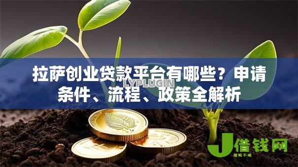 拉萨创业贷款平台有哪些？申请条件、流程、政策全解析