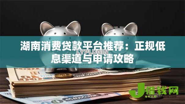 湖南消费贷款平台推荐：正规低息渠道与申请攻略