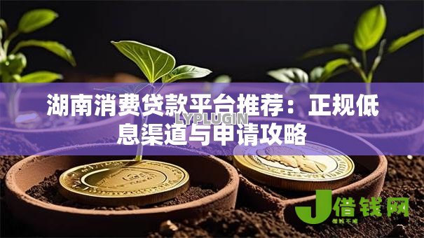 湖南消费贷款平台推荐：正规低息渠道与申请攻略