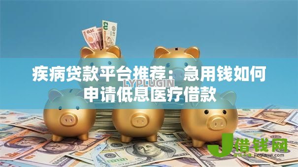 疾病贷款平台推荐：急用钱如何申请低息医疗借款