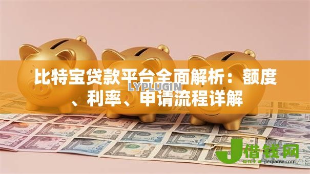 比特宝贷款平台全面解析：额度、利率、申请流程详解