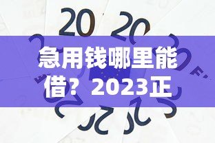 急用钱哪里能借?2023正规贷款平台推荐,快速到账安全靠谱 急用钱哪里能借?2023正规贷款平台推荐,快速到账安全靠谱