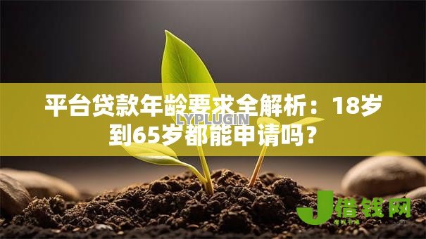 平台贷款年龄要求全解析：18岁到65岁都能申请吗？