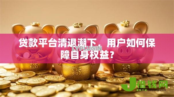 贷款平台清退潮下，用户如何保障自身权益？
