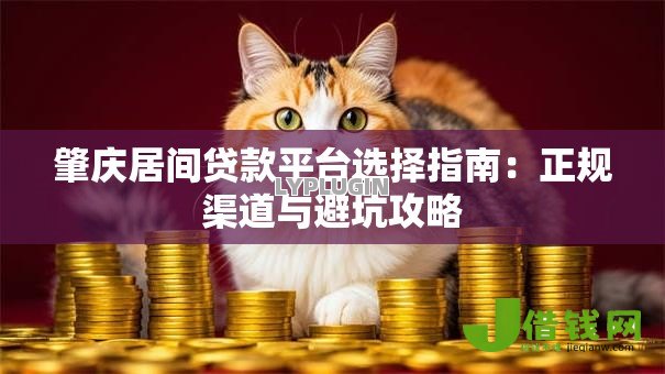 肇庆居间贷款平台选择指南：正规渠道与避坑攻略