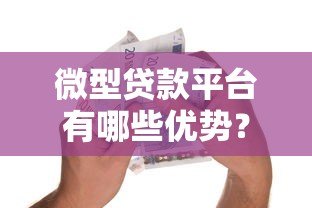 微型贷款平台有哪些优势？如何快速申请小额借款