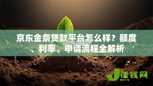 京东金条贷款平台怎么样？额度、利率、申请流程全解析