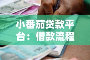小番茄贷款平台:借款流程解析与用户真实体验 小番茄贷款平台:借款流程解析与用户真实体验