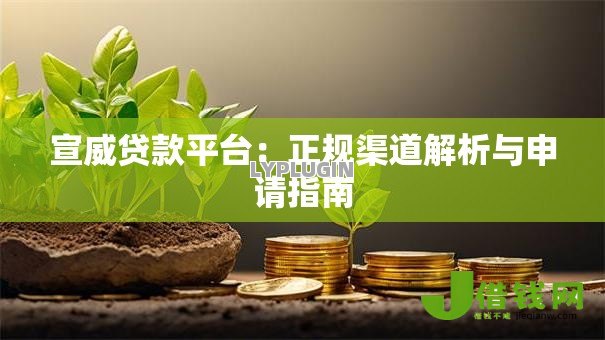 宣威贷款平台:正规渠道解析与申请指南 宣威贷款平台:正规渠道解析与申请指南