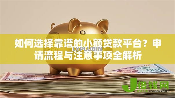 如何选择靠谱的小额贷款平台？申请流程与注意事项全解析