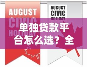 单独贷款平台怎么选？全面解析平台优势与申请注意事项