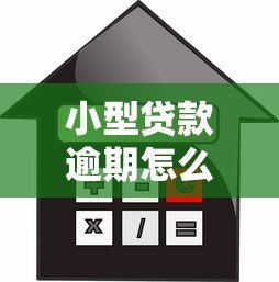 小型贷款逾期怎么办?8个步骤化解信用危机 小型贷款逾期怎么办?8个步骤化解信用危机
