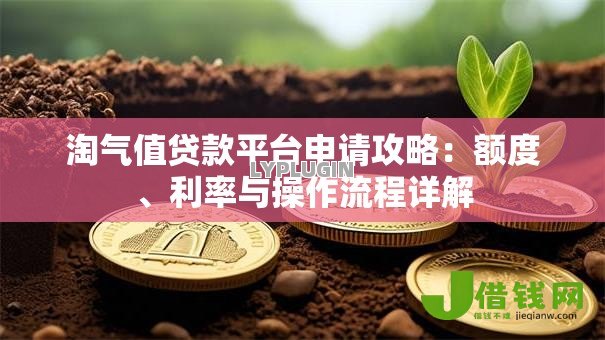 淘气值贷款平台申请攻略：额度、利率与操作流程详解
