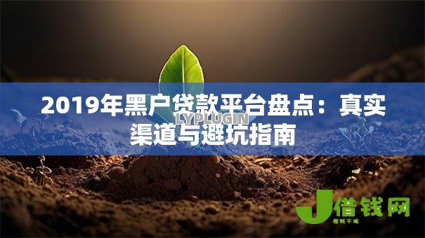 2019年黑户贷款平台盘点：真实渠道与避坑指南