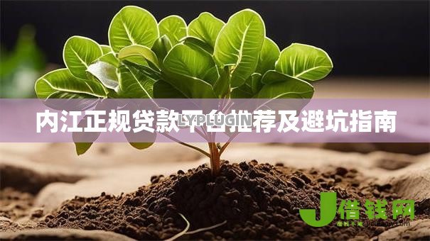 内江正规贷款平台推荐及避坑指南