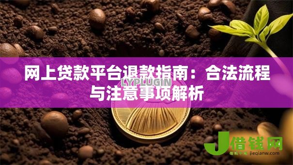 网上贷款平台退款指南：合法流程与注意事项解析