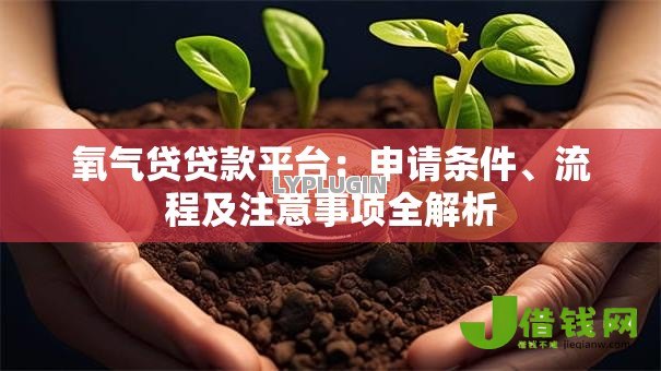 氧气贷贷款平台:申请条件、流程及注意事项全解析 氧气贷贷款平台:申请条件、流程及注意事项全解析