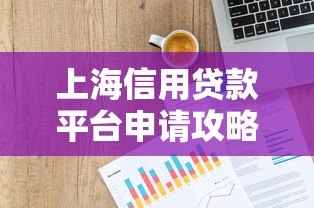 上海信用贷款平台申请攻略及风险解析