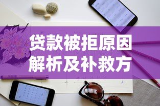 贷款被拒原因解析及补救方法指南