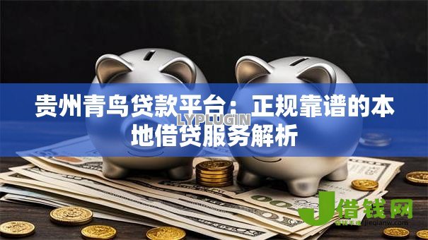 贵州青鸟贷款平台：正规靠谱的本地借贷服务解析