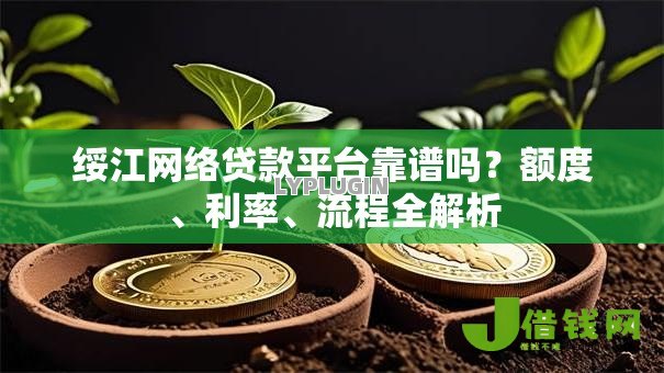 绥江网络贷款平台靠谱吗？额度、利率、流程全解析