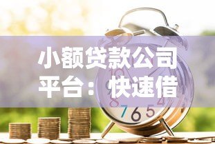 小额贷款公司平台：快速借款攻略与风险提示