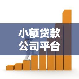 小额贷款公司平台：快速借款攻略与风险提示