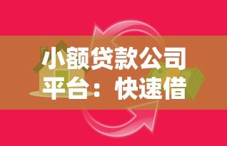 小额贷款公司平台：快速借款攻略与风险提示