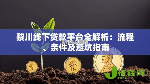 黎川线下贷款平台全解析：流程、条件及避坑指南
